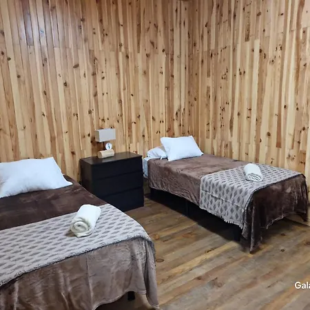 호스텔 Tenerife Dreams Coffee&bed